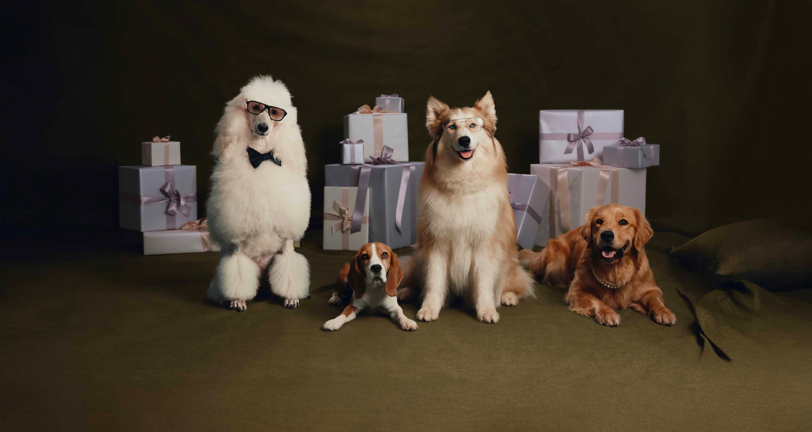 Home Page hero banner