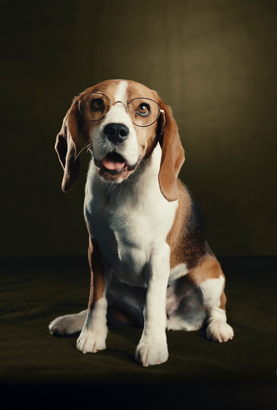 1971C found in Black + Grey Nylon.