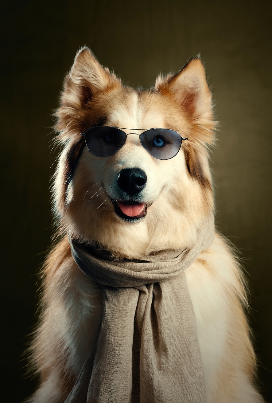 1971C found in Black + Grey Nylon.