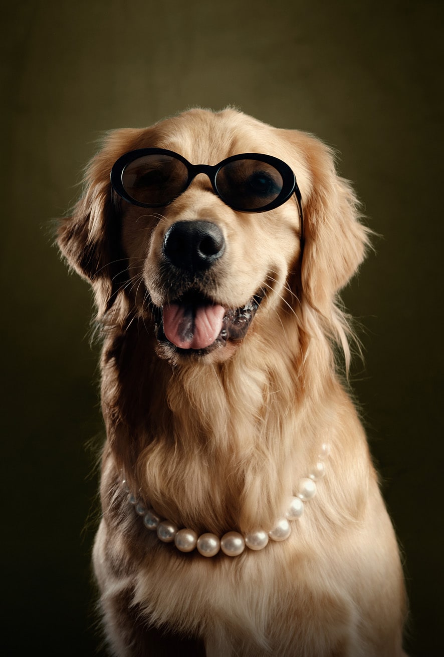 1971C found in Black + Grey Nylon.