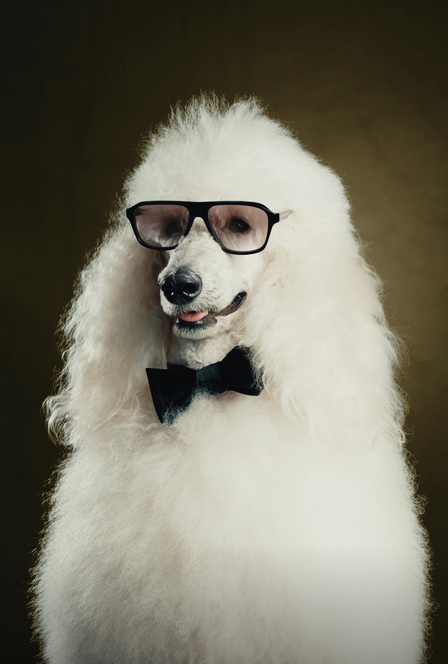 1971C found in Black + Grey Nylon.