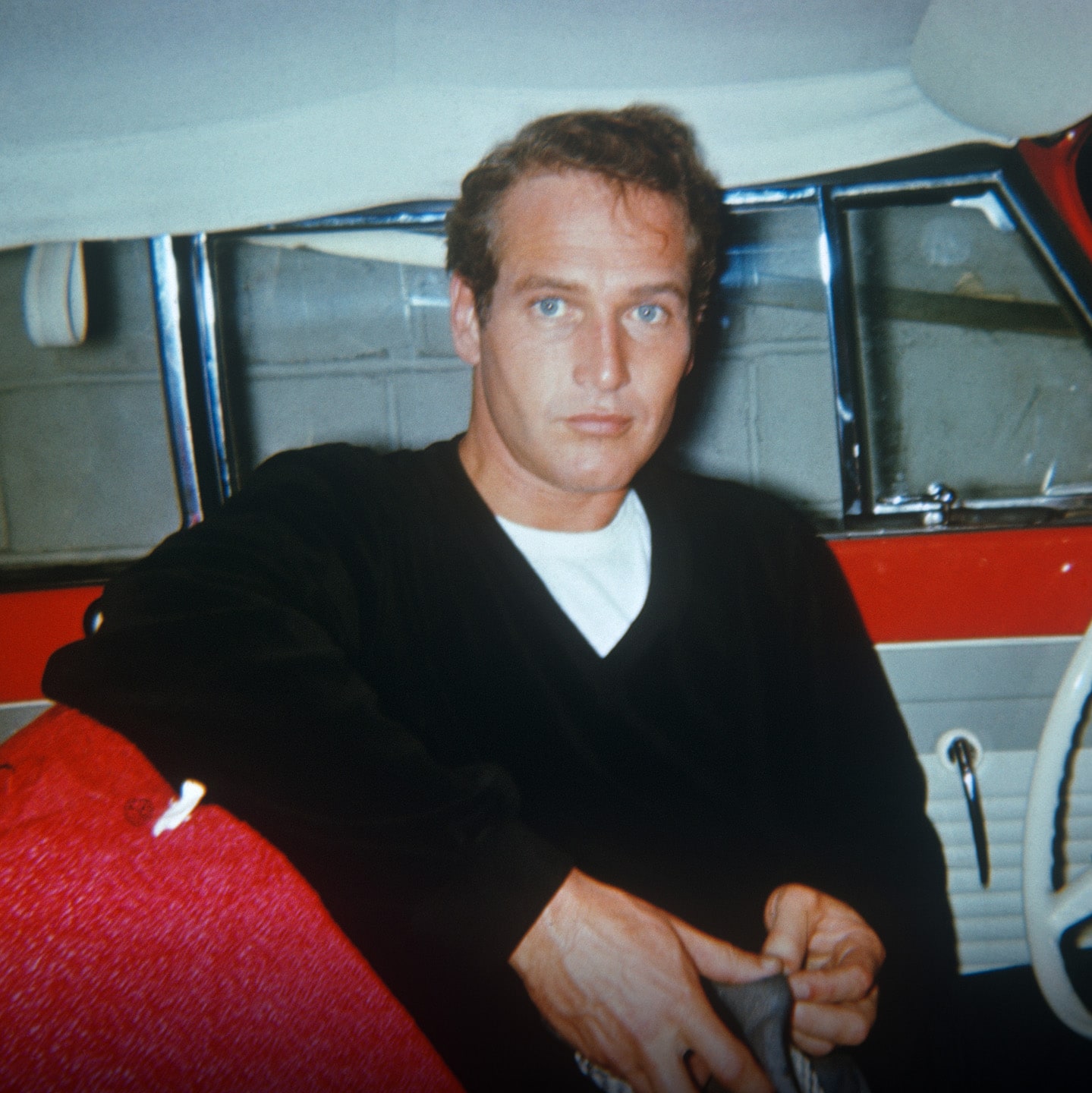 The California sun illuminates the translucent acetates.