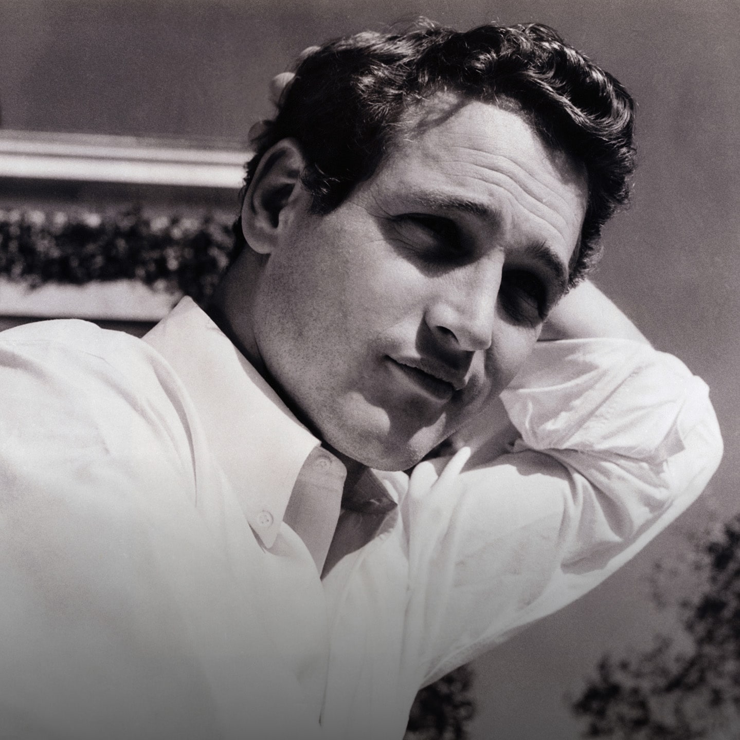 The California sun illuminates the translucent acetates.