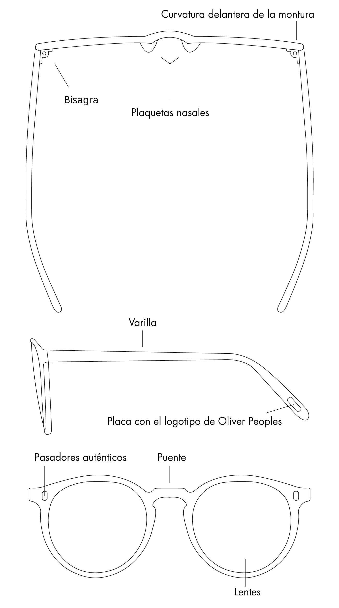 Size Guide ES